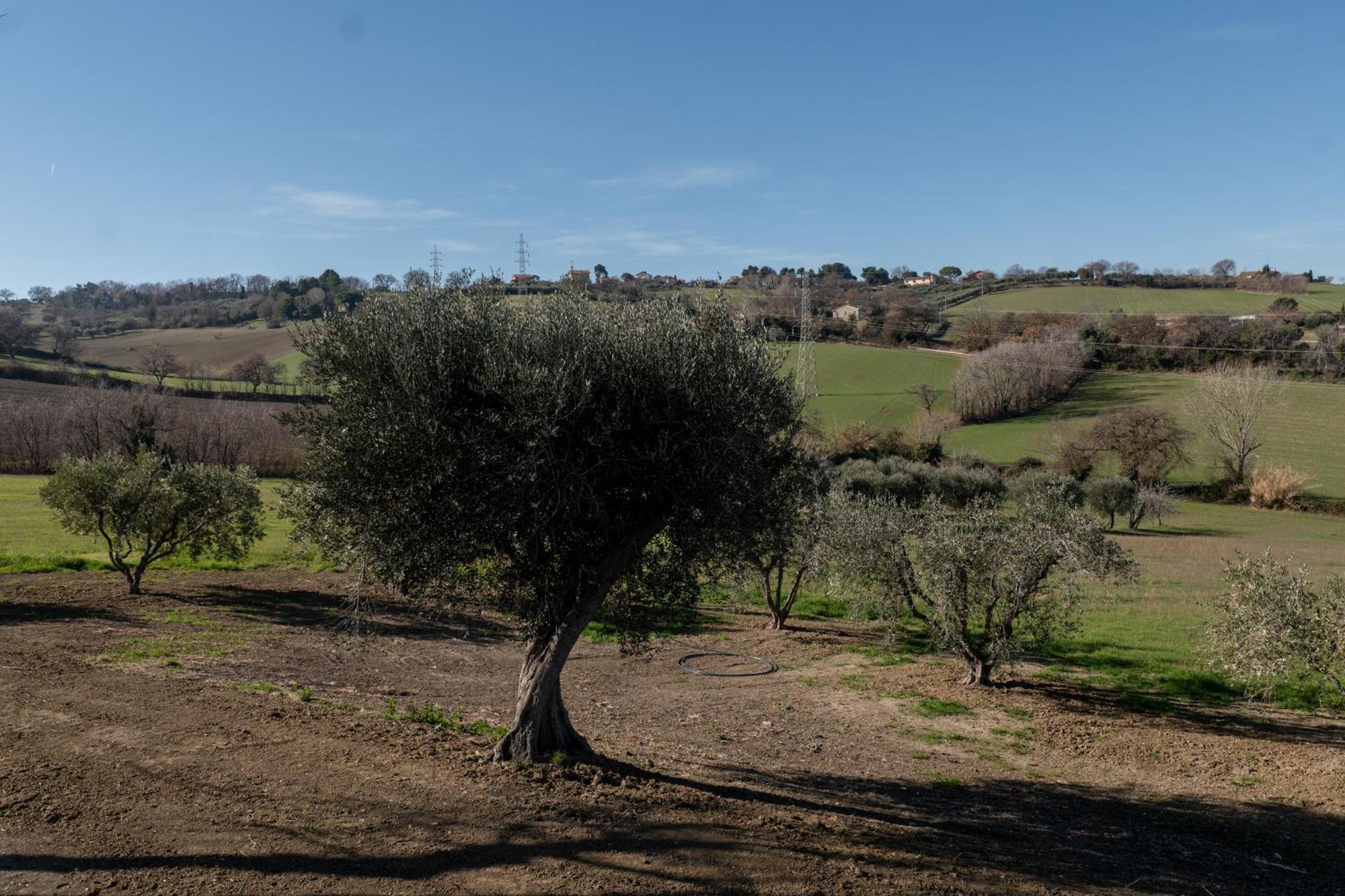 Casa Addis B&B Scapezzano Exterior photo